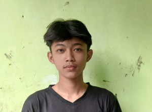 Sales Mobil Sales Dealer Mitsubishi Jakarta 